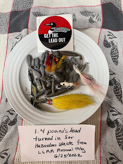 Get the Lead Out program