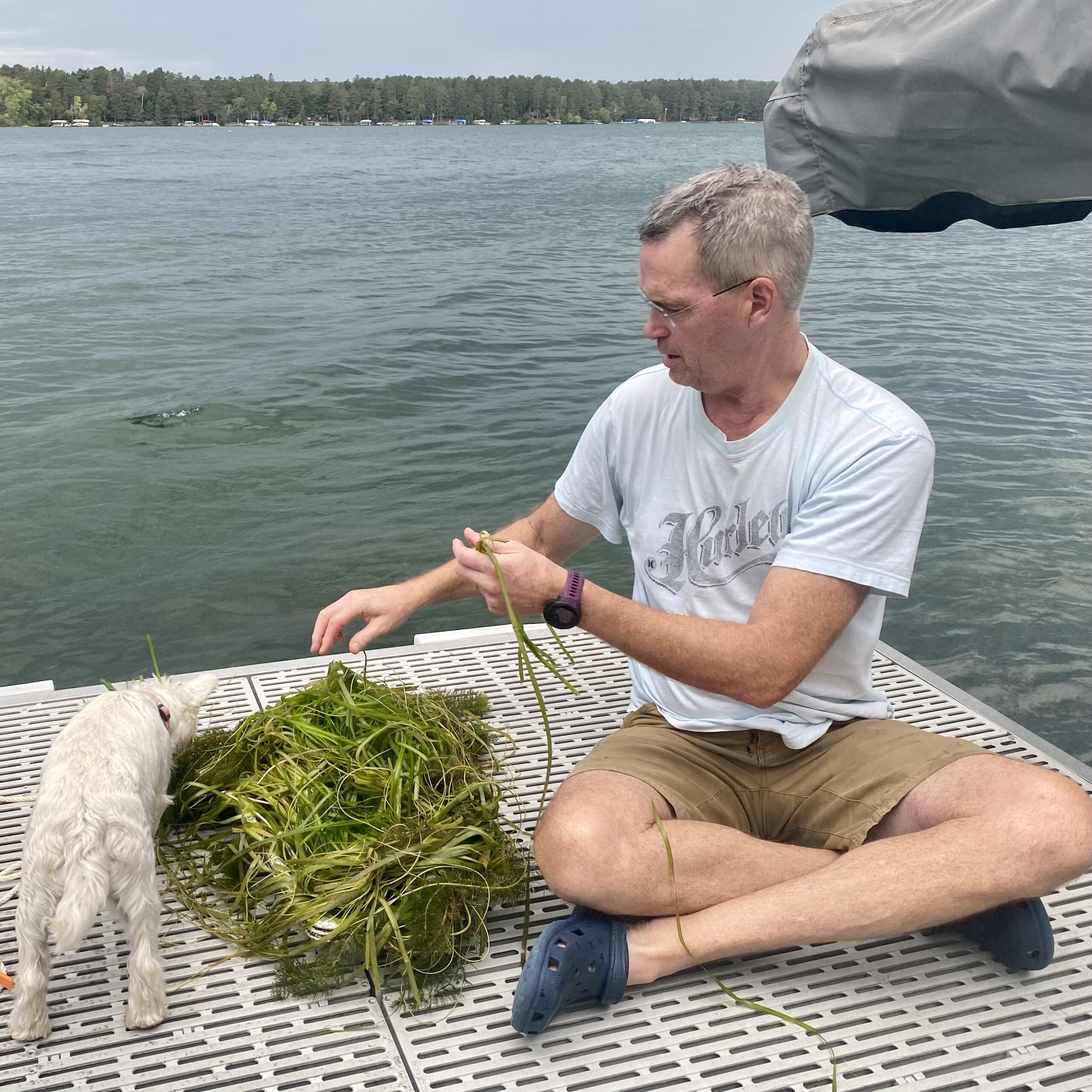 IMG_8690 Examining aquatic vegetation collected from Long Lake